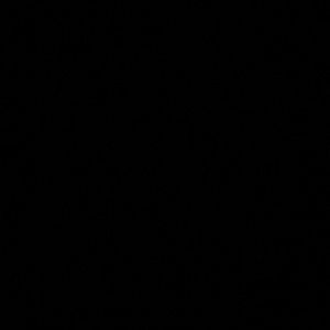 Meet your Posher, Cassidy